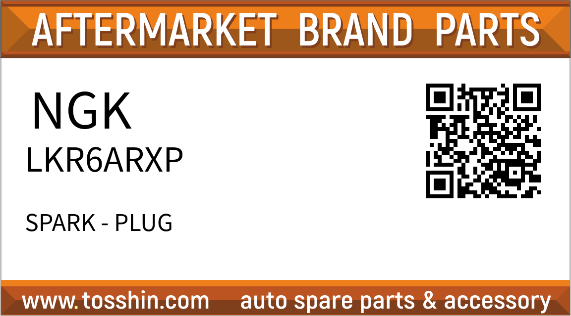 NGK LKR6ARXP SPARK - PLUG